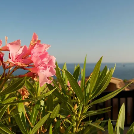 Vista Mare Apartment
